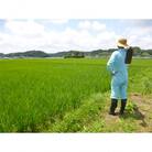 変な鮨屋の鮨懐石　半農半鮨　まこと屋のお食事券(1名様分)