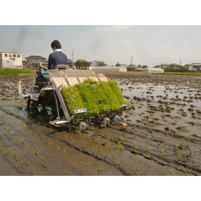自然米(白米5kg)