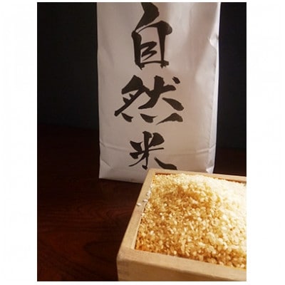自然米(玄米5kg)