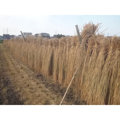 極上天日干し自然米(白米5kg)