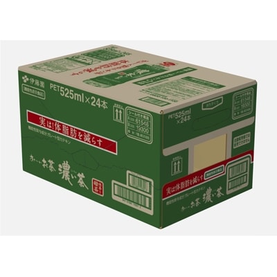 おーいお茶濃い茶525ml 48本(2ケース) 伊藤園