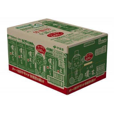 【毎月定期便】お～いお茶濃い茶600ml 48本(2ケース)伊藤園全6回