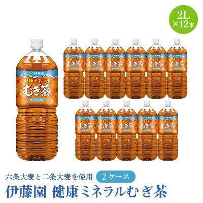 【毎月定期便】伊藤園の健康ミネラルむぎ茶2L×12本全6回