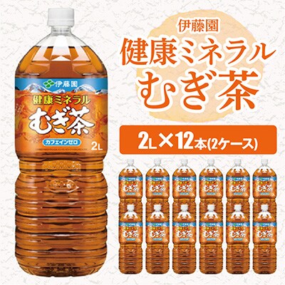 2023年2月発送開始『定期便』 健康ミネラルむぎ茶 2L×12本(2ケース)全6回