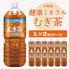 2023年5月発送開始『定期便』 健康ミネラルむぎ茶 2L×12本(2ケース)全12回 | ふるさと納税のお礼品
