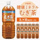 2023年7月発送開始『定期便』 健康ミネラルむぎ茶 2L×12本(2ケース)全6回