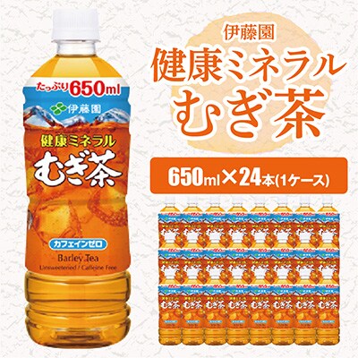 2023年6月発送開始『定期便』 健康ミネラルむぎ茶650ml 24本(1ケース)全3回