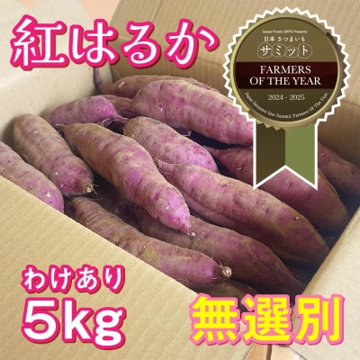 先行受付【訳あり】さつま芋 紅はるか 約5kg 千葉県香取市産【2025年12月上旬より順次発送】