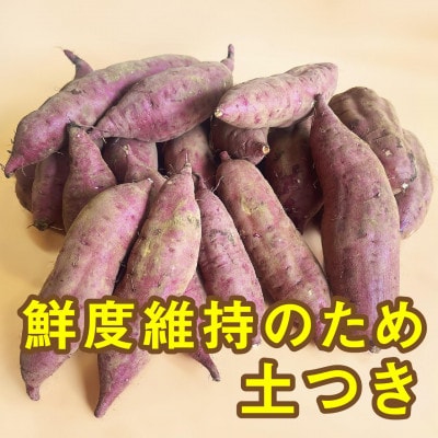 先行受付【訳あり】さつま芋 紅はるか 約5kg 千葉県香取市産【2025年12月上旬より順次発送】