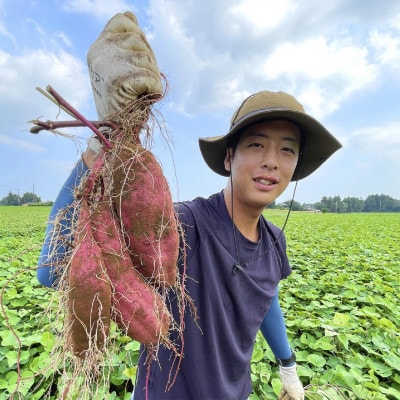 先行受付【訳あり】さつま芋 紅はるか 約5kg 千葉県香取市産【2025年12月上旬より順次発送】