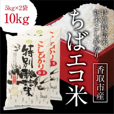 千葉県産 ちばエコ米コシヒカリ5kg×2袋