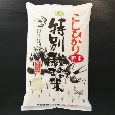 千葉県産 ちばエコ米コシヒカリ5kg×2袋