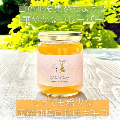 水の郷の花々から採ったそのまま 生はちみつ 非加熱 無添加 無加工 国産純粋百花はちみつ お礼品詳細 ふるさと納税なら さとふる