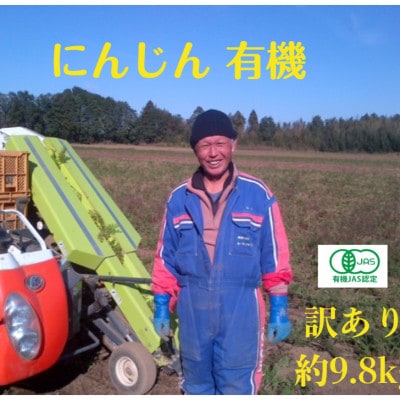 有機 にんじん【訳あり】加瀬農園 にんじん有機JAS規格 (ジュース用) 約9.8kg