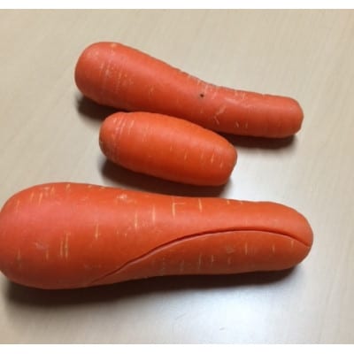 有機 にんじん【訳あり】加瀬農園 にんじん有機JAS規格 (ジュース用) 約9.8kg