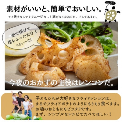 新物!8月上旬より順次発送予定!千葉県香取市産レンコン2kg