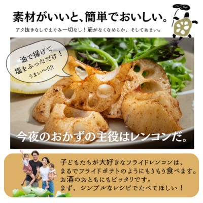 甘くなめらか!香取市産レンコン4キロ
