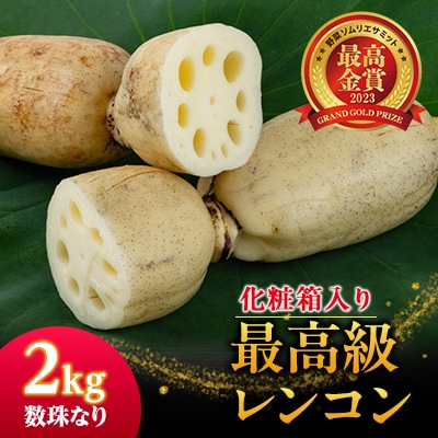 最高級レンコン2キロ【ギフトボックス入り】