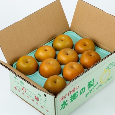 香取市産水郷梨「豊水」 約3kg(8玉～10玉)