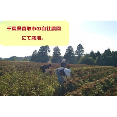 匠焙煎 から付き落花生 3種食べ比べセット 計580g