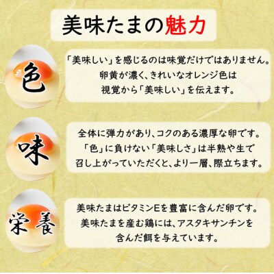 美味たま　50個入り