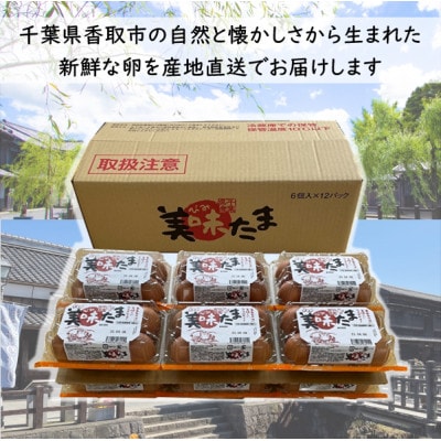 美味たま　72個 (6個入り×12パック)