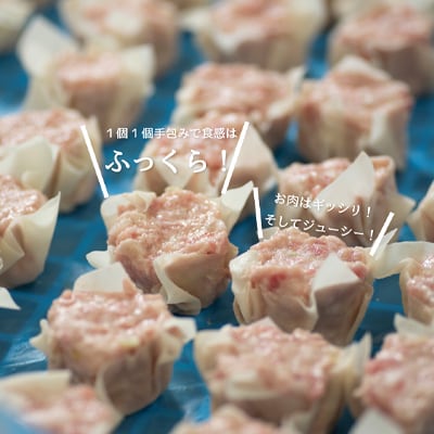 【訳あり】千葉県香取市産三元豚　大粒肉焼売 20個【1kg(50g×20個入)】