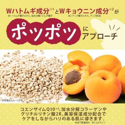 【2ヵ月毎定期便】イボンヌ オールインワンゲル 100g ウィルミナ全6回