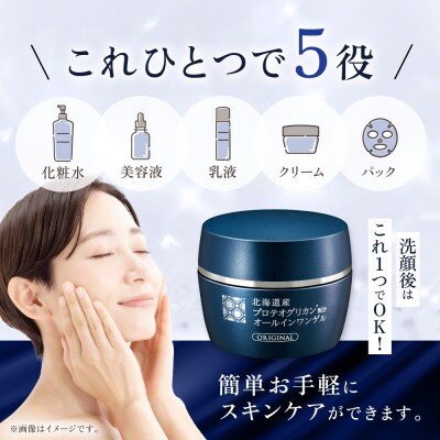 【2ヵ月毎定期便】北海道産プロテオグリカン配合オールインワンゲル TA 90g ウィルミナ全6回