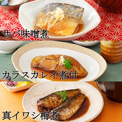 本格魚惣菜詰め合わせ≪煮魚・焼魚 合計10食入≫