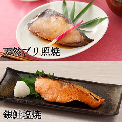 本格魚惣菜詰め合わせ≪煮魚・焼魚 合計10食入≫