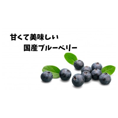 【予約】生ブルーベリー　訳ありサイズ無選別1.1kg　千葉県香取市産　ソーラーシェアリングで生産　　