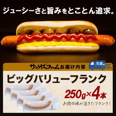 BIGバリューフランク 4本セット