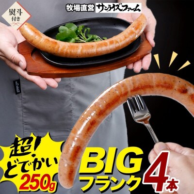 熨斗 BIGバリューフランク 4本セット