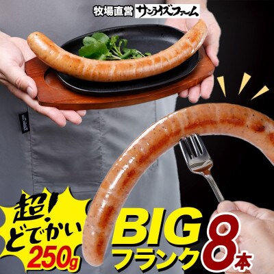 BIGバリューフランク 8本セット