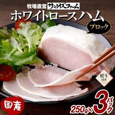 熨斗 ホワイトロースハム ブロック 250g×3 計750g