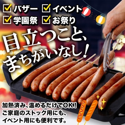 熨斗 ジャンボフランクフルト110g×10本 粗挽き ジューシー サンライズファーム 千葉県 香取市