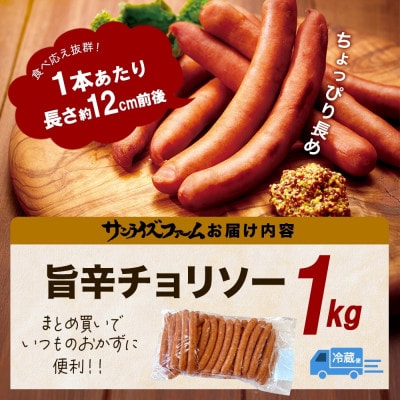 自家製 旨辛チョリソ 1kg