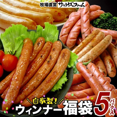 自家製 お楽しみウインナー 5種セット