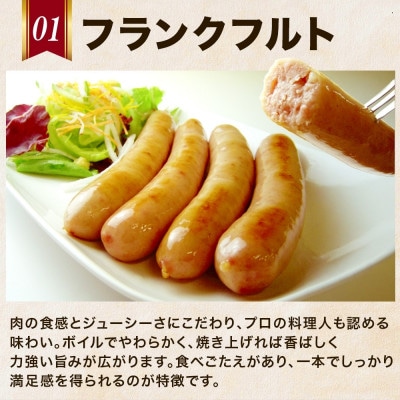 自家製 お楽しみウインナー 5種セット