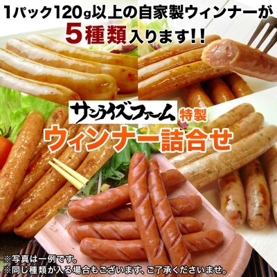 自家製 お楽しみウインナー 5種セット