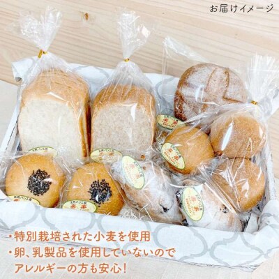 【全3回定期便】栽培期間農薬科学肥料不使用小麦とブランのパンセット 卵/乳製品不使用[AVC018]