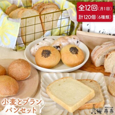 【全12回定期便】栽培期間農薬科学肥料不使用小麦とブランのパンセット卵/乳製品不使用[AVC020]