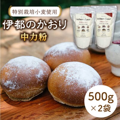 伊都のかおり500g×2袋 糸島市/天然パン工房楽楽【いとしまごころ】[AVC052]