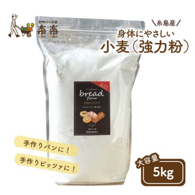 伊都のみのり(強力粉)5kg 糸島市/天然パン工房楽楽【いとしまごころ】[AVC061]