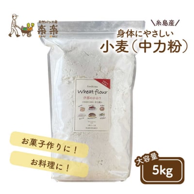 伊都のかおり(中力粉)5kg 糸島市/天然パン工房楽楽【いとしまごころ】[AVC062]