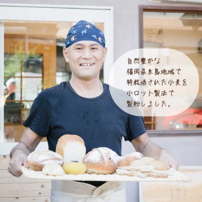 伊都のかおり(中力粉)10kg 糸島市/天然パン工房楽楽【いとしまごころ】[AVC063]