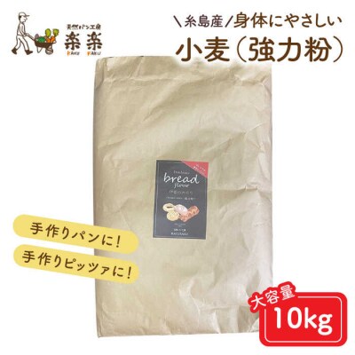 伊都のみのり(強力粉)10kg 糸島市/天然パン工房楽楽【いとしまごころ】[AVC064]