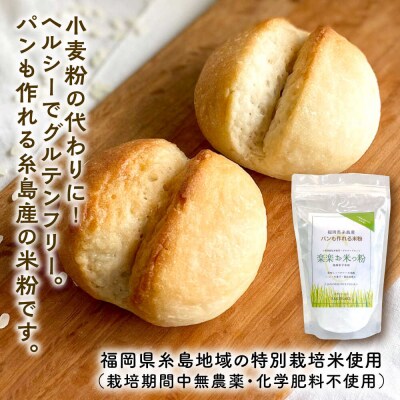 特別栽培米使用 楽楽お米っ粉 500g×2袋 天然パン工房楽楽　【いとしまごころ】[AVC072]