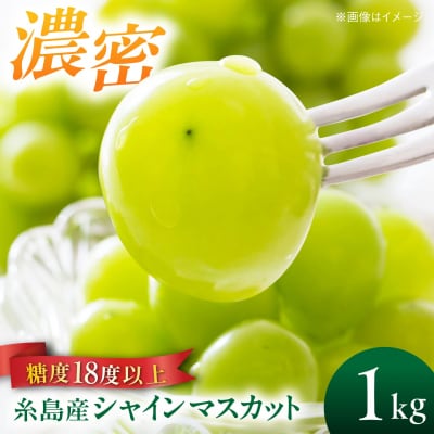 【先行受付】糸島産 シャインマスカット 1kg(2-4房) 糸島市 / [AVI006]